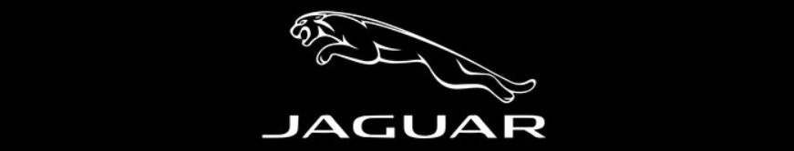 Jaguar logo with black background
